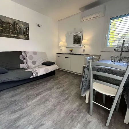 Διαμέρισμα Climatise 3 Pieces, 4-6 Pers, Terrasse, Parking, Proche Plage Et Centre - Fr-1-650-22 *