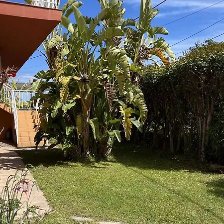 Apartmán Climatise 3 Pieces, 4-6 Pers, Terrasse, Parking, Proche Plage Et Centre - Fr-1-650-22 San-Nicolao